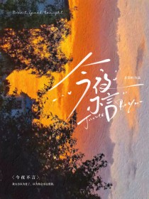 今夜不言 今夜不言