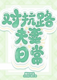 对抗路夫妻日常[年代]